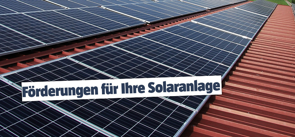 Solar-Marderschutz-Bürsten (Solaranlage/Dachrinne)