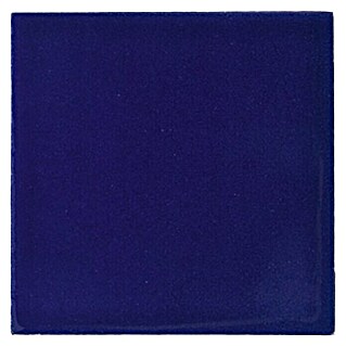 Esmalte de color Botz (Azul royal, 200 ml)