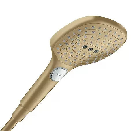 Hansgrohe Raindance Select E Handbrause 120