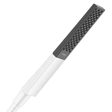 Hansgrohe Rainfinity Handbrause 100 EcoSmart