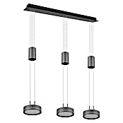 Trio Leuchten LED-Pendelleuchte (9 W, L x B x H: 14 x 85 x 150 cm, Anthrazit, Warmweiß) | BAUHAUS