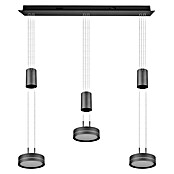 Trio Leuchten LED-Pendelleuchte (9 W, L x B x H: 14 x 85 x 150 cm, Anthrazit, Warmweiß) | BAUHAUS