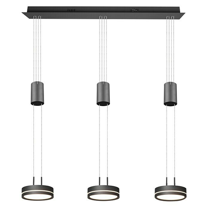 Trio Leuchten LED-Pendelleuchte (9 W, L x B x H: 14 x 85 x 150 cm, Anthrazit, Warmweiß) | BAUHAUS