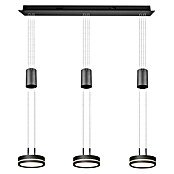 Trio Leuchten LED-Pendelleuchte (9 W, L x B x H: 14 x 85 x 150 cm, Anthrazit, Warmweiß) | BAUHAUS