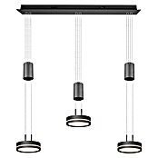 Trio Leuchten LED-Pendelleuchte (9 W, L x B x H: 14 x 85 x 150 cm, Anthrazit, Warmweiß) | BAUHAUS