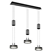 Trio Leuchten LED-Pendelleuchte (9 W, L x B x H: 14 x 85 x 150 cm, Anthrazit, Warmweiß) | BAUHAUS