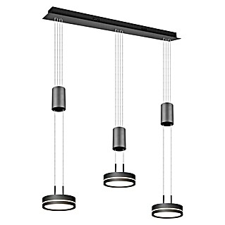 Trio Leuchten LED-Pendelleuchte (9 W, L x B x H: 14 x 85 x 150 cm, Anthrazit, Warmweiß)