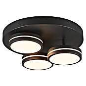 Trio Leuchten LED-Deckenleuchte rund (8,5 W, Ø x H: 35 x 13 cm, Anthrazit, Warmweiß) | BAUHAUS