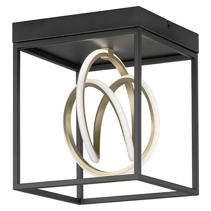 Honsel Leuchten LED-Deckenleuchte (15 W, L x B x H: 4,7 x 11,8 x 8,7 cm, schwarz matt, Mehrfarbig)