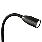 Fischer & Honsel LED-Wandstrahler Sten (5 W, L x B x H: 40 x 35 x 11 cm, schwarz matt, Warmweiß) | BAUHAUS