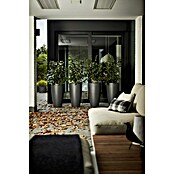 Elho Okrugla tegla za biljke Pure Soft High  (Vanjska dimenzija (ø x V): 39 x 70,1 cm, Antracit, Plastika) | BAUHAUS