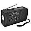 Radio mit Powerbankfunktion (Außen, Schwarz) | BAUHAUS