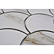 Mozaik pločica Fächer Calacatta CIM FS CT  (27,3 x 25,9 cm, Bijela, Mat) | BAUHAUS