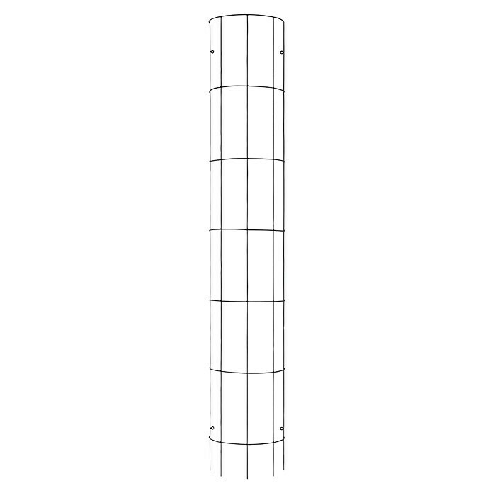 Gardol Halbrundspalier Apulien29 x 150 cm Front View