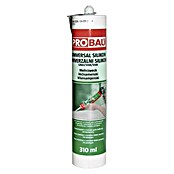 Probau Univerzalni silikon  (Boja: Sive boje, 310 ml) | BAUHAUS