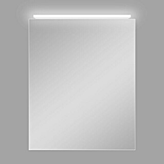 DSK LED-Spiegelschrank Aluminio Vegas (B x H: 50 x 60 cm, Mit Beleuchtung, Aluminium, Silber)