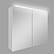 DSK LED-Spiegelschrank Aluminio Vegas (B x H: 70 x 50 cm, Aluminium) | BAUHAUS