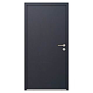 FM Türen Nebeneingangstür NBT56-07 (110 x 210 cm, DIN Anschlag: Rechts, Anthrazit)