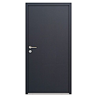 FM Türen Nebeneingangstür NBT56-07 (100 x 200 cm, DIN Anschlag: Links, Anthrazit)