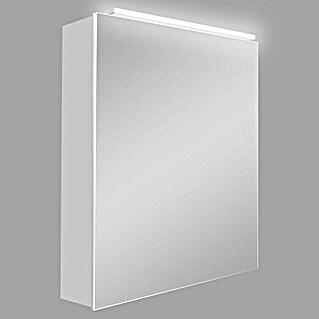 DSK Led-spiegelkast (b x h: 50 x 60 cm, Met verlichting, Aluminium, Zilver)