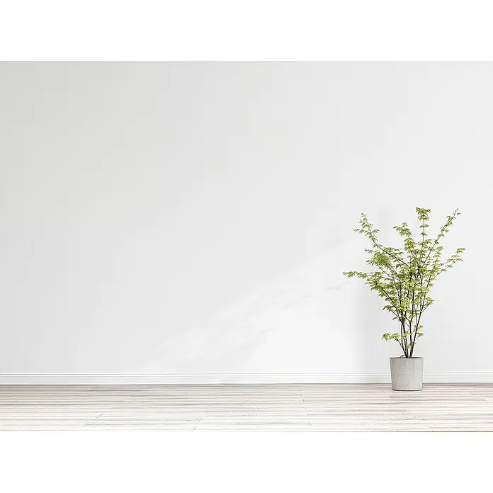 SCHÖNER WOHNEN-Farbe Naturell Wandfarbe Mineralfarbe - Weiß, Matt, 2,5 l, Allergikergeeignet - Zimmerpflanze in einem grauen Topf vor einer weißen Wand, die eine ruhige und minimalistische Atmosphäre erzeugt. Das helle Grün der Pflanze belebt den Raum.