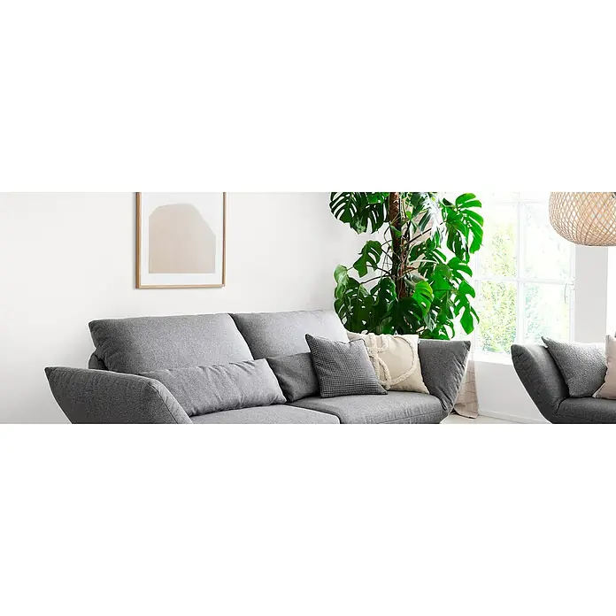 SCHÖNER WOHNEN-Farbe Naturell Wandfarbe Mineralfarbe - Weiß, Matt, 2,5 l, Allergikergeeignet - Graues Sofa mit Kissen und einer Zimmerpflanze im Hintergrund. Der moderne Stil des Sofas passt gut zu minimalistischen Einrichtungskonzepten.