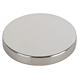 Suki Magnet Neodym (Rund, Durchmesser: 19 mm, 4 Stk., Traglast: 10 kg)