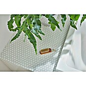 Mozaik pločica Knopf Uni 100N  (30,5 x 32 cm, Bijele boje, Sjaj) | BAUHAUS
