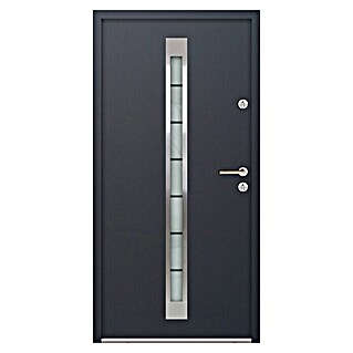 FM Türen Nebeneingangstür ATU56-520 (100 x 207 cm, DIN Anschlag: Rechts, Anthrazit)