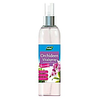 Westland Orchideen-Nahrung (250 ml)