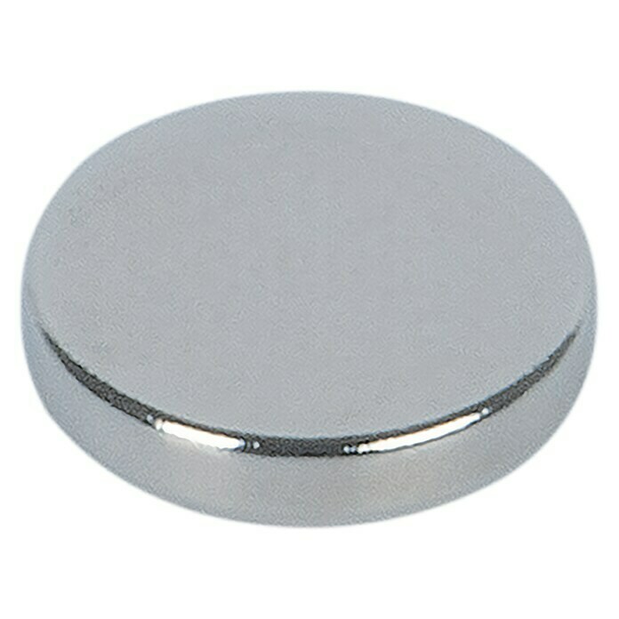 Fix-o-moll Magnetscheibe Neodym selbstklebend (Rund, Durchmesser: 8 mm,  Silber)