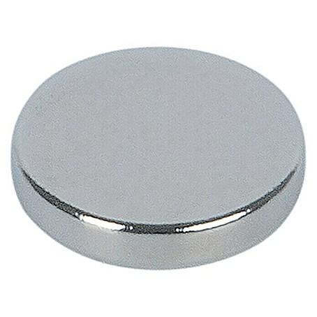 Suki Magnet Neodym (Rund, Durchmesser: 19 mm, 4 Stk., Traglast: 8 kg)