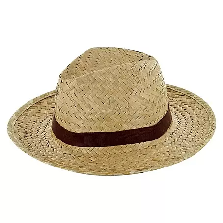 Sonnenhut Jr