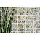 Mozaik pločica Quadrat Curtain 25 Mix CB 25BBG  (29,5 x 29,5 cm, Zelena/Bež/Smeđa, Mat) | BAUHAUS