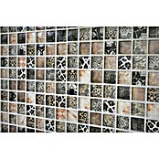 Mozaik pločica Quadrat Crystal Wildlife XCM WL64  (29,8 x 29,8 cm, Bež, Sjaj) | BAUHAUS