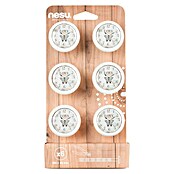 Nesu Pomo para muebles Reloj Love 6 uds. (Ø x Al: 40 x 29 mm, Madera)