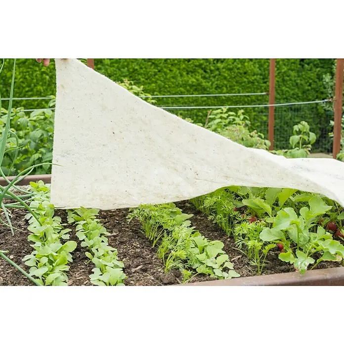 Windhager Kälteschutz Schafwoll-Matte - 2 x 1 m - Das Bild zeigt ein Gemüsebeet mit Schutzvlies, das junge Pflanzen vor Schädlingen und extremen Wetterbedingungen schützt.