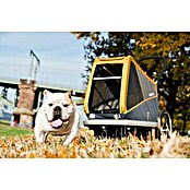 Croozer Hundeanhänger Dog Peppa (Traglast: 35 kg, Farbe: Pineapple yellow)