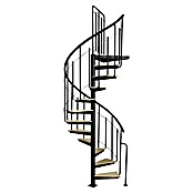 Atrium Spindeltreppe Solo Vertical (Farbton Metall: RAL 9005, Durchmesser: 120 cm, Stahl, Buche, Geschosshöhe: 264 cm - 286 cm) | BAUHAUS