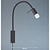 Fischer & Honsel LED-Wandstrahler Seng (4,5 W, Sandschwarz, Warmweiß) | BAUHAUS