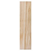 Exclusivholz Tablero de madera laminada (Paulonia, 800 x 200 x 18 mm)