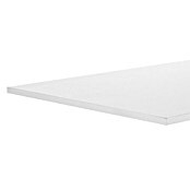 Regalboden (Weiß, L x B: 100 x 60 cm, Stärke: 1,6 cm)