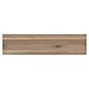Exclusivholz Tablero de madera laminada (Roble, 800 x 200 x 20 mm)