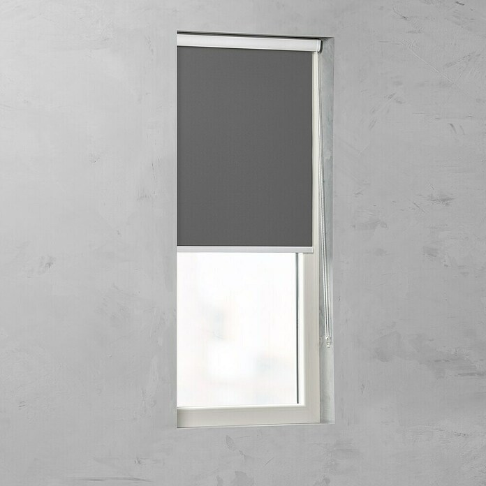 Rollo mit Kassette (B x H: 110 x 175 cm, Grau) | BAUHAUS