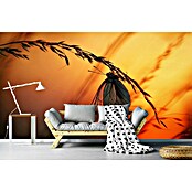 Papermoon Premium collection Fototapete Schmetterling in Abendsonne (B x H: 250 x 186 cm, Vlies) | BAUHAUS