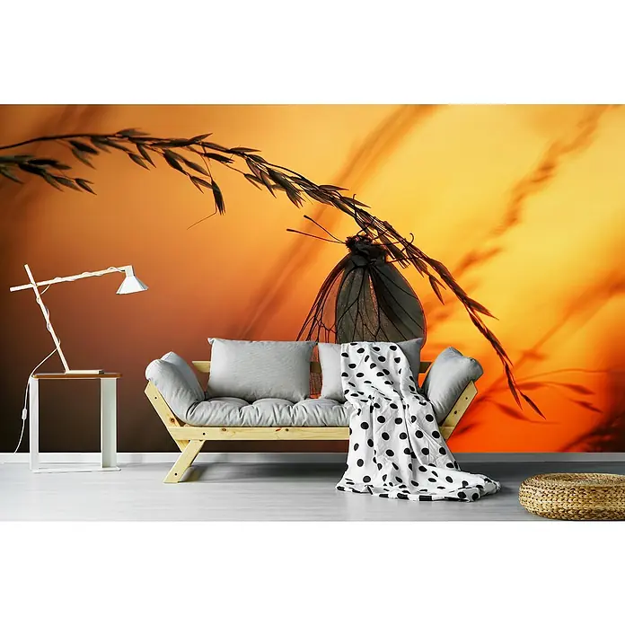 Papermoon Premium collection Fototapete Schmetterling in Abendsonne - B x H: 300 x 223 cm, Vlies - Das Bild zeigt eine stilvolle Wandtapete mit einem wunderschönen Schmetterlingsmotiv, das eine warme und einladende Atmosphäre schafft.