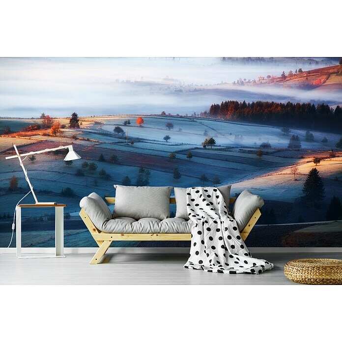 Papermoon Premium collection Fototapete Nebel (B x H: 450 x 280 cm, Vlies) | BAUHAUS