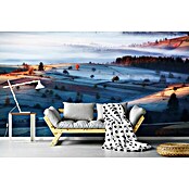 Papermoon Premium collection Fototapete Nebel (B x H: 200 x 149 cm, Vlies) | BAUHAUS