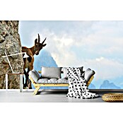 Papermoon Premium collection Fototapete Bergziege (B x H: 400 x 260 cm, Vlies) | BAUHAUS