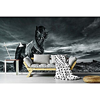 Papermoon Premium collection Fototapete Pferd im Wind (B x H: 400 x 260 cm, Vlies)